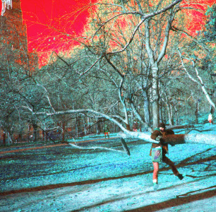 Maria climbs a tree, Central Park, NYC